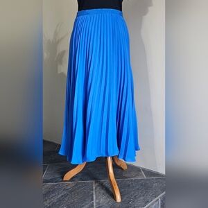 Banana Republic Blue Pleated Midi Skirt with Side Zipper; Size 4